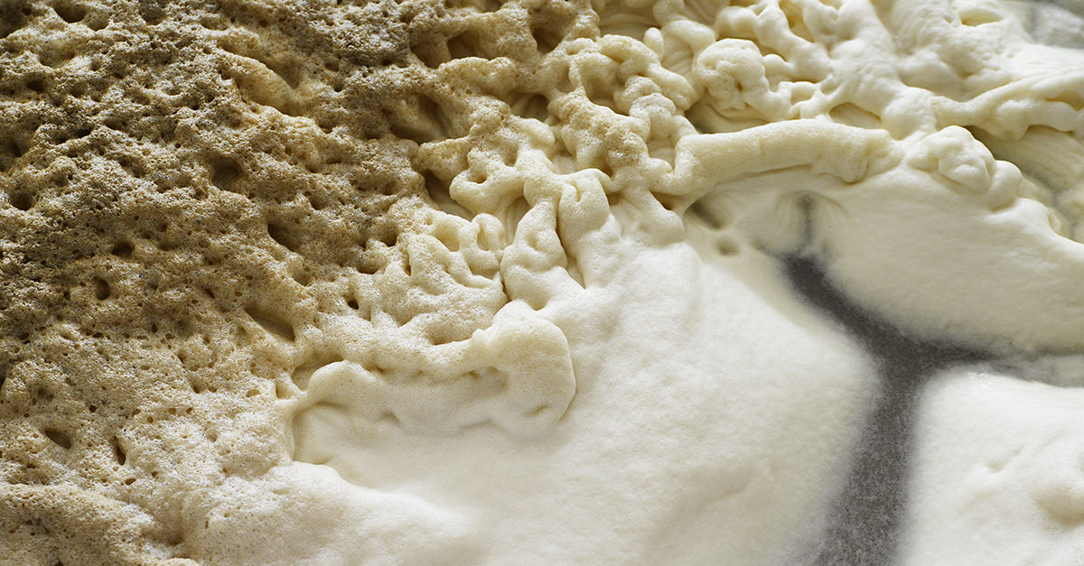 啤酒發酵在發酵罐中產生泡沫蓋