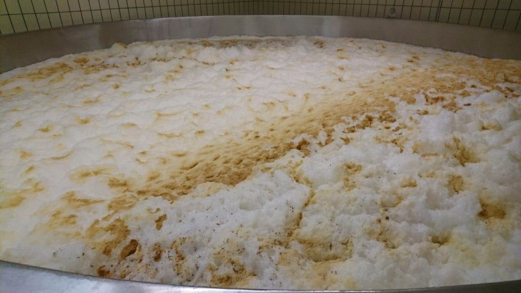 發酵啤酒可以不使用啤酒酵母嗎？